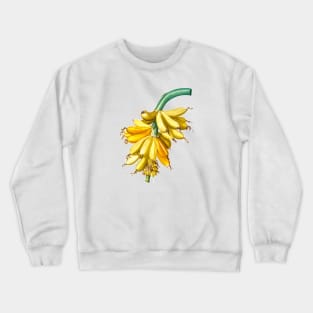 Banana bunch Crewneck Sweatshirt